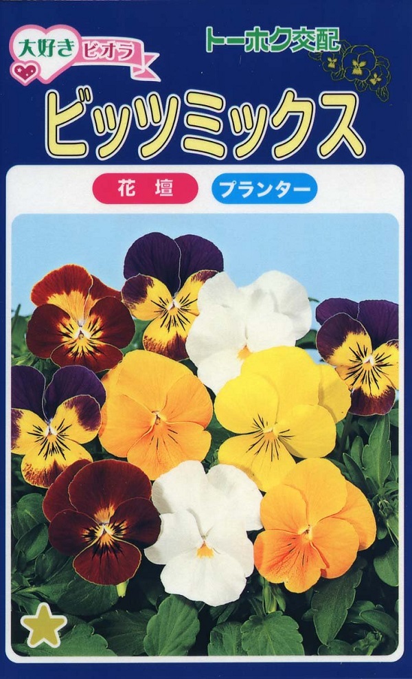 ビオラ＿ビッツミックス