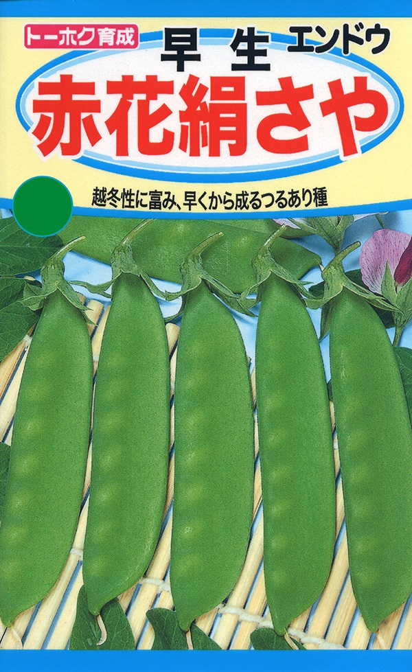 赤花絹さや