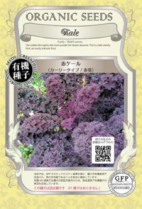 赤ケール　カーリータイプ/赤葉