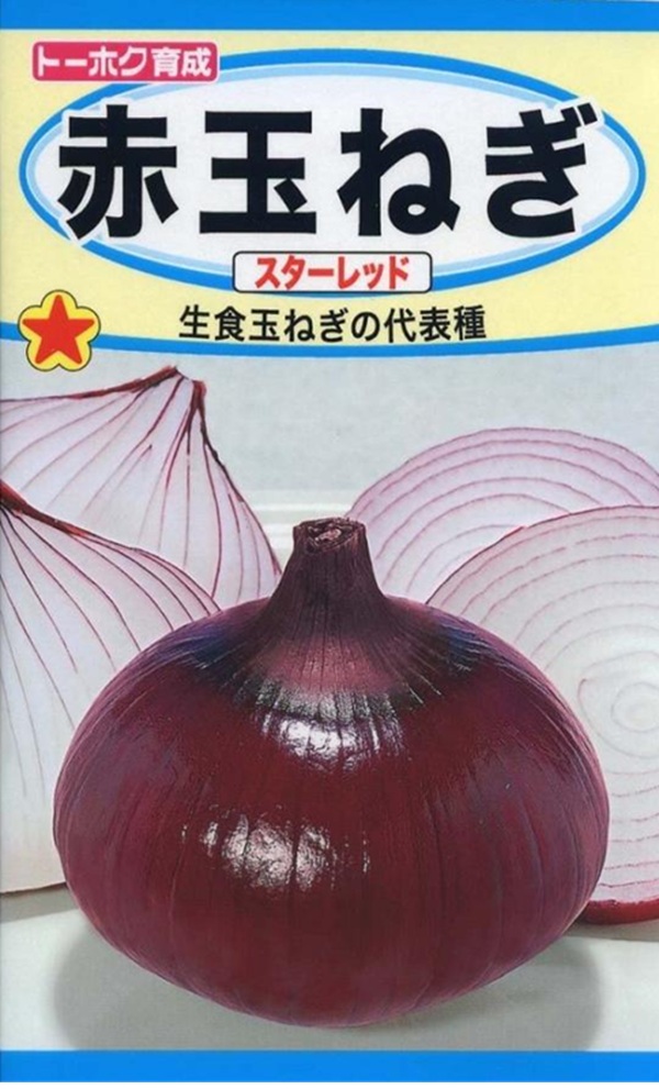 赤玉ねぎ スターレッド