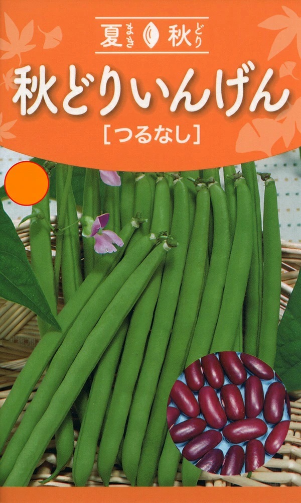 秋どりいんげん　カーニバル