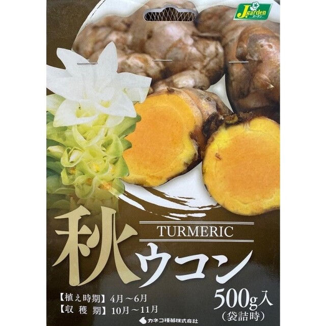 秋ウコン500