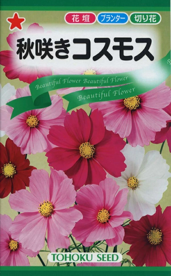 秋咲きコスモス　トーホクのタネ