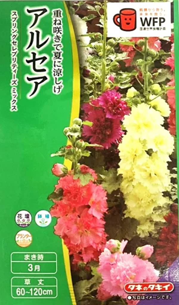 alcea_spring
