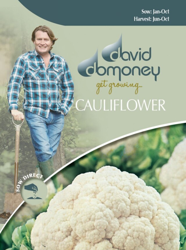 カリフラワー Cauliflower Gardener's Shop Ivy