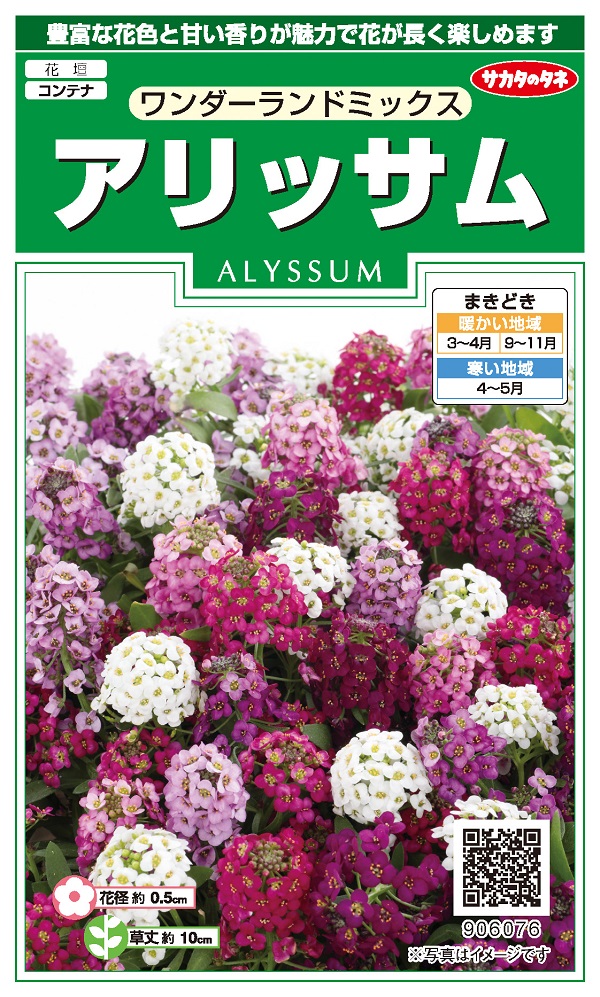 アリッサムワンダーランドミックス