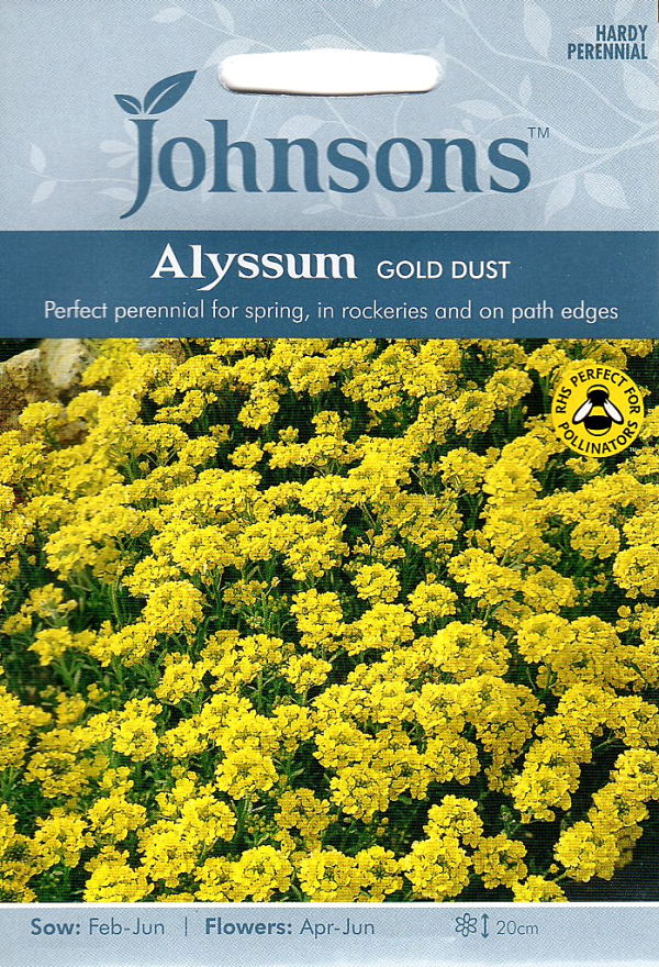 アリッサム・ゴールド・ダスト