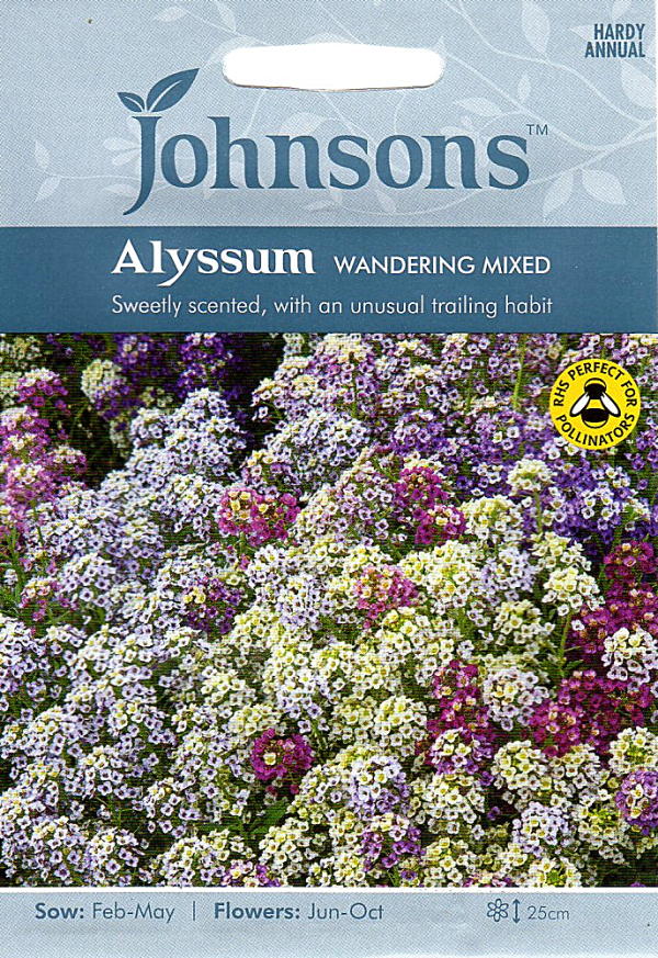 Alyssum wandering mixed
