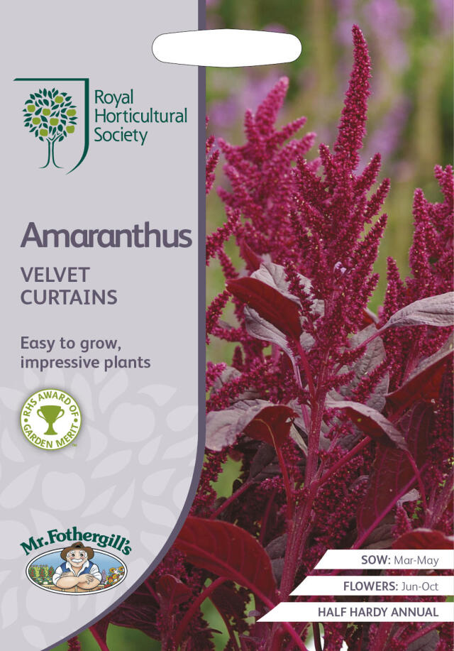 amaranthus_velvet