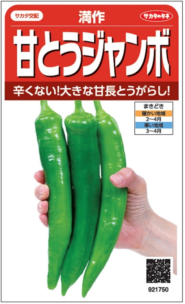 甘とうジャンボ　満作