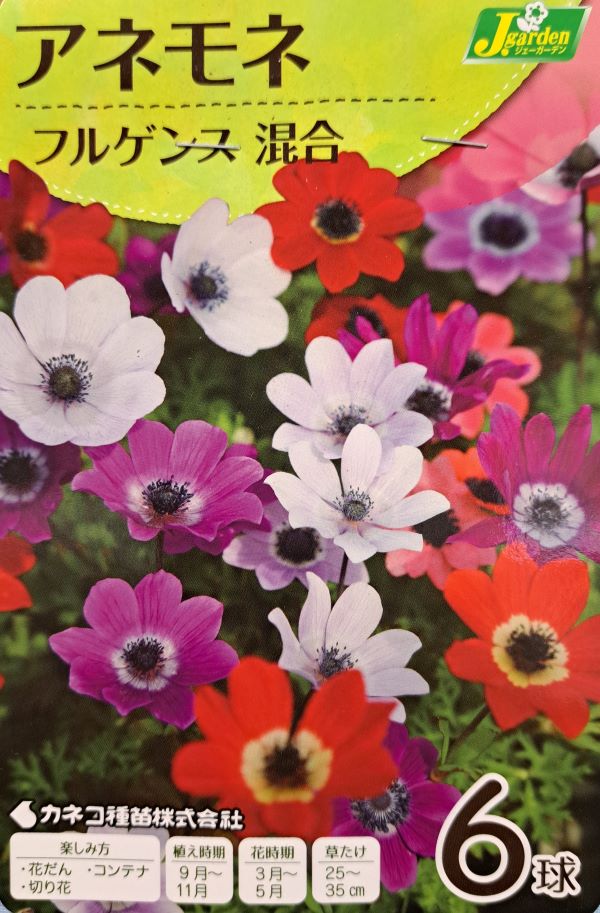 アネモネ フルゲンス 混合