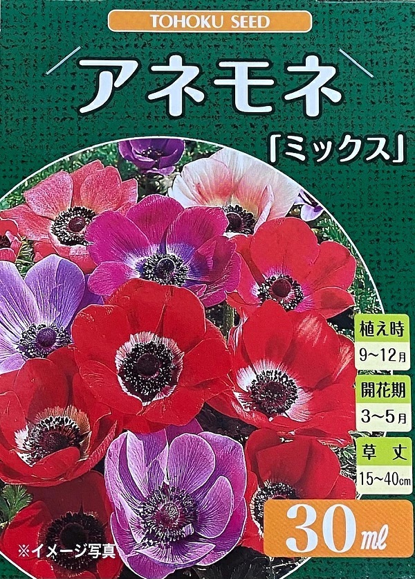 アネモネ　ミックス