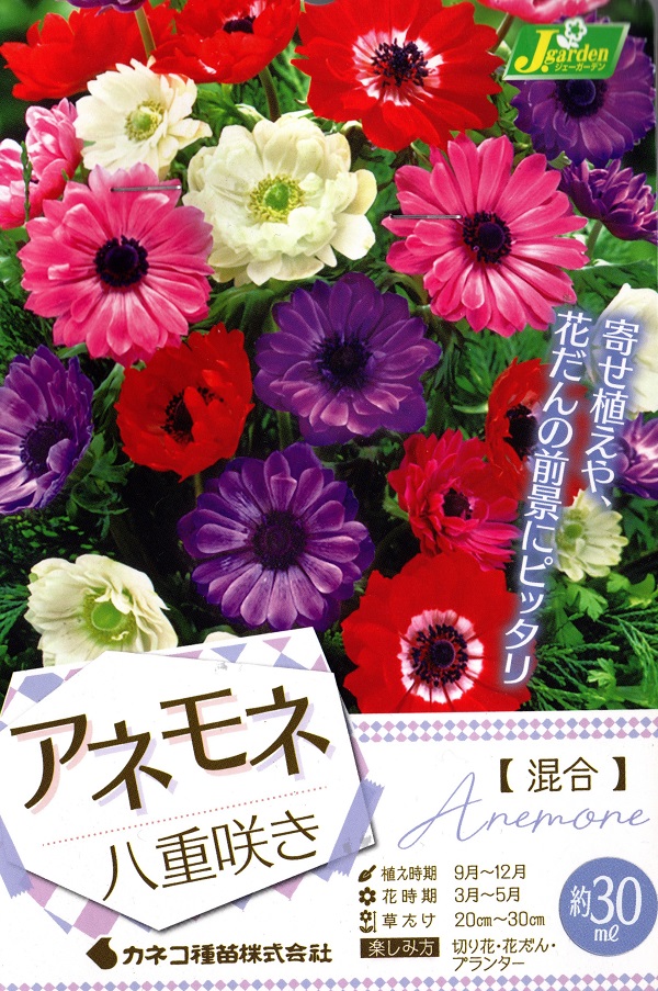 アネモネ八重き混合
