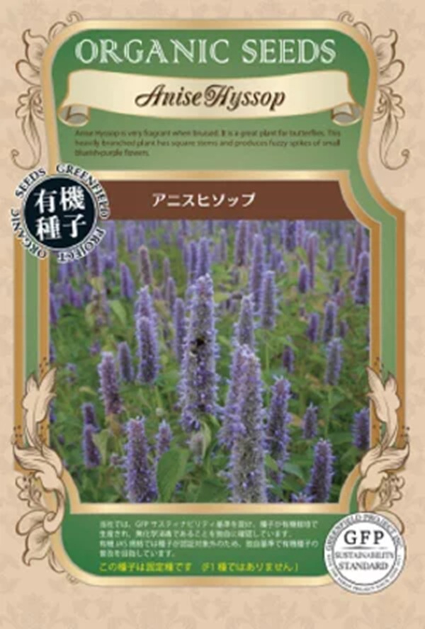anisuhisoppu