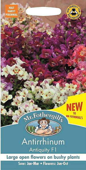 【輸入種子】 Mr.Fothergill's Seeds Antirrhinum Antiquity F1 アンチヒナム（金魚草） アンチクワイティ F1
