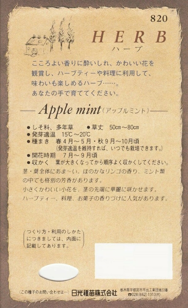 アップルミント2