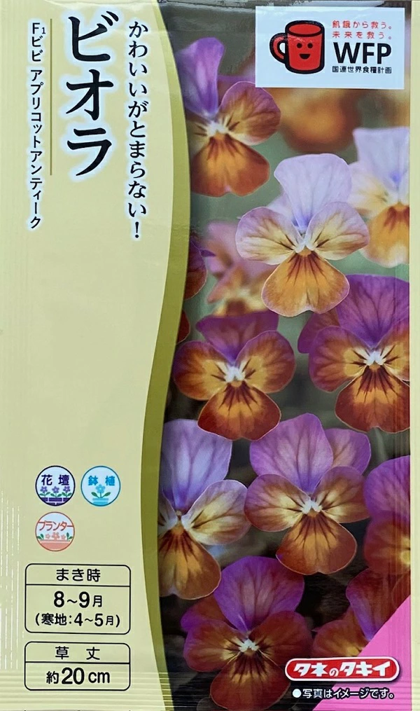 ビオラビビアプリコットアンティーク