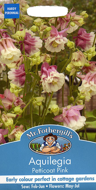 アクレイジア（オダマキ）・ペチコート・ピンク