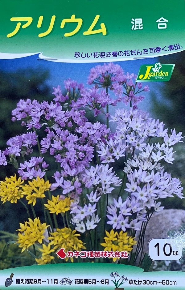 アリウム混合