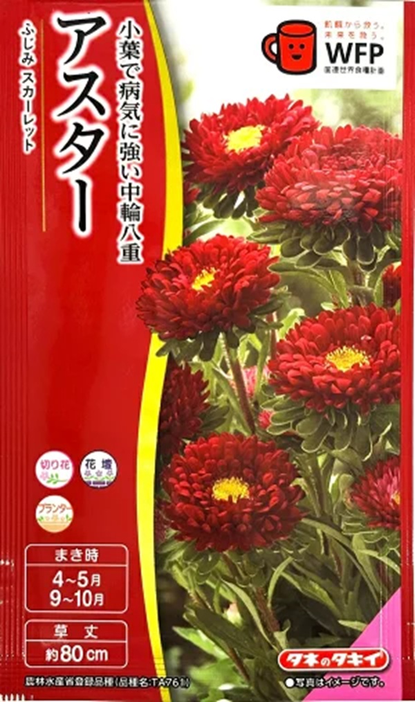 aster-fujimiscarlet