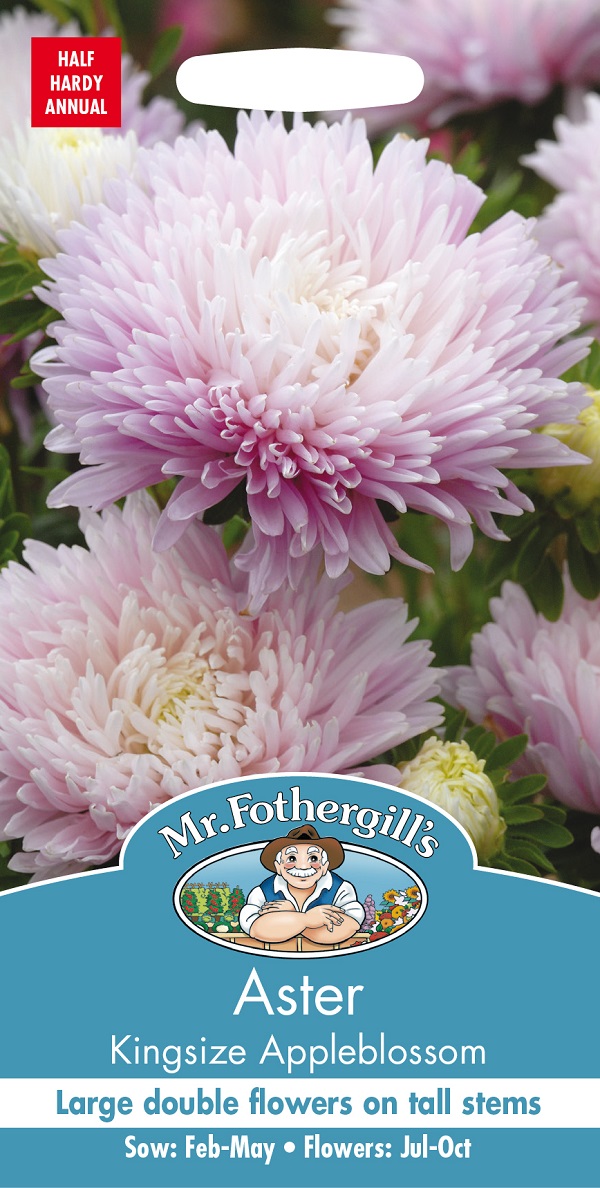 aster-kingsize-appleblossom