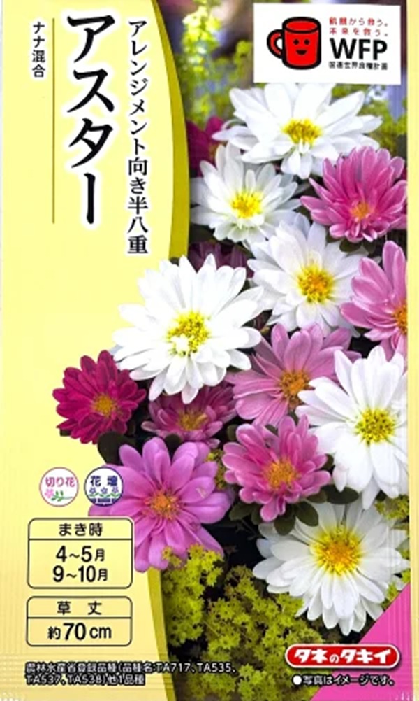 aster-nanamix-1