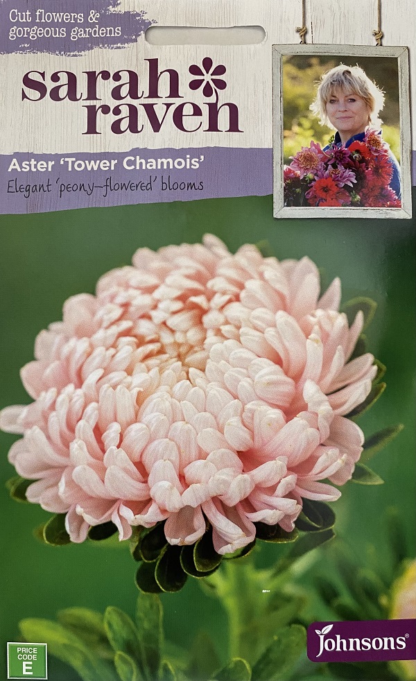 アスター タワー・シャモア