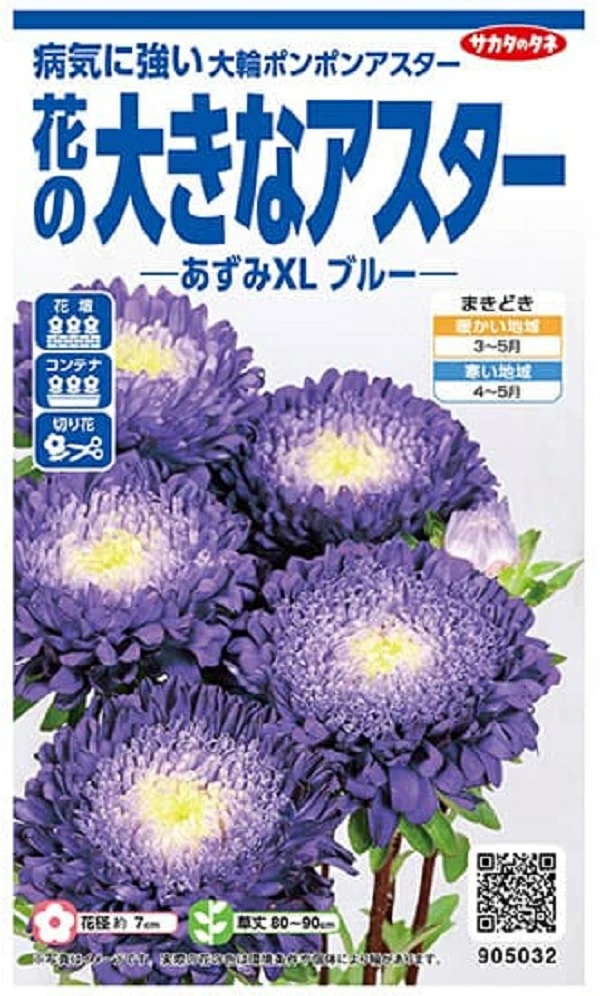 アスター あずみXLブルー