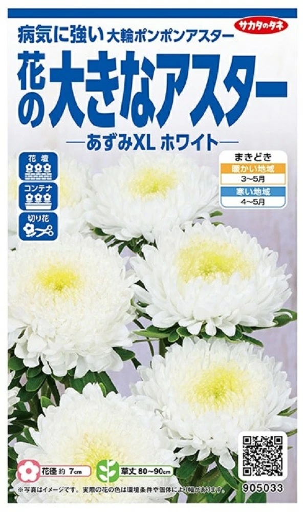 アスター あずみXLホワイト