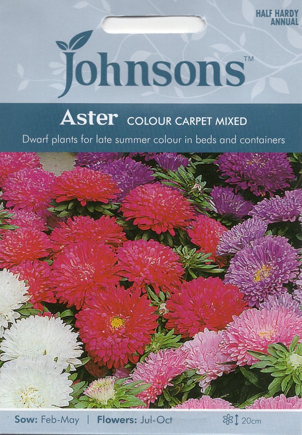 Johnsons Seeds Aster Colour Carpet Mixed