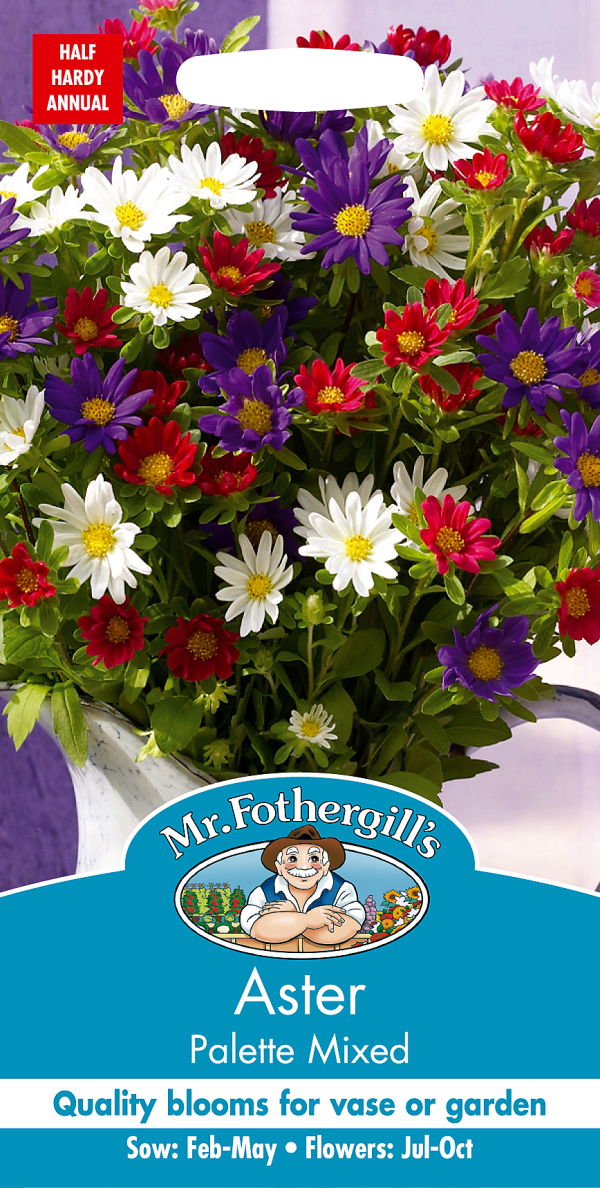 アスター・パレット・ミックス