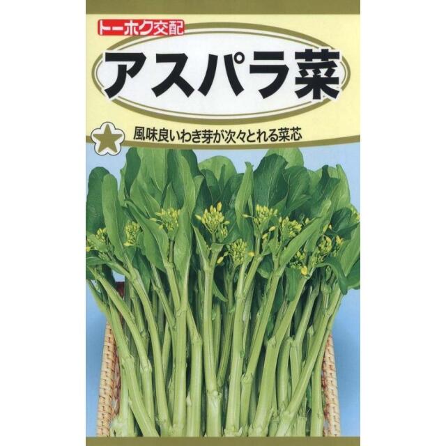 アスパラ菜