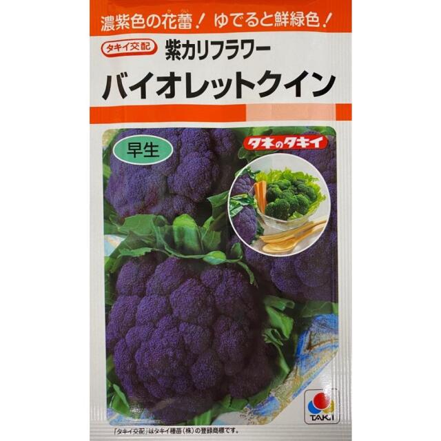 バイオレットクイン