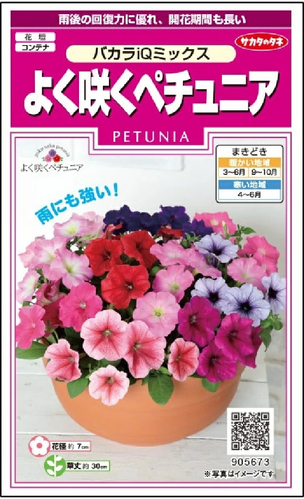 ペチュニア　バカラiQミックス
