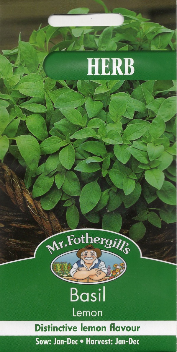 HERB Basil Lemon ハーブ バジル レモン