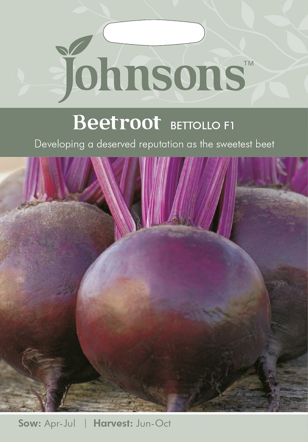 ビートルート ベットーロ・F1