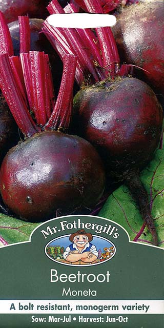 ビートルート・モネタ