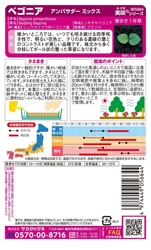 ベゴニア　アンバサダーミックス
