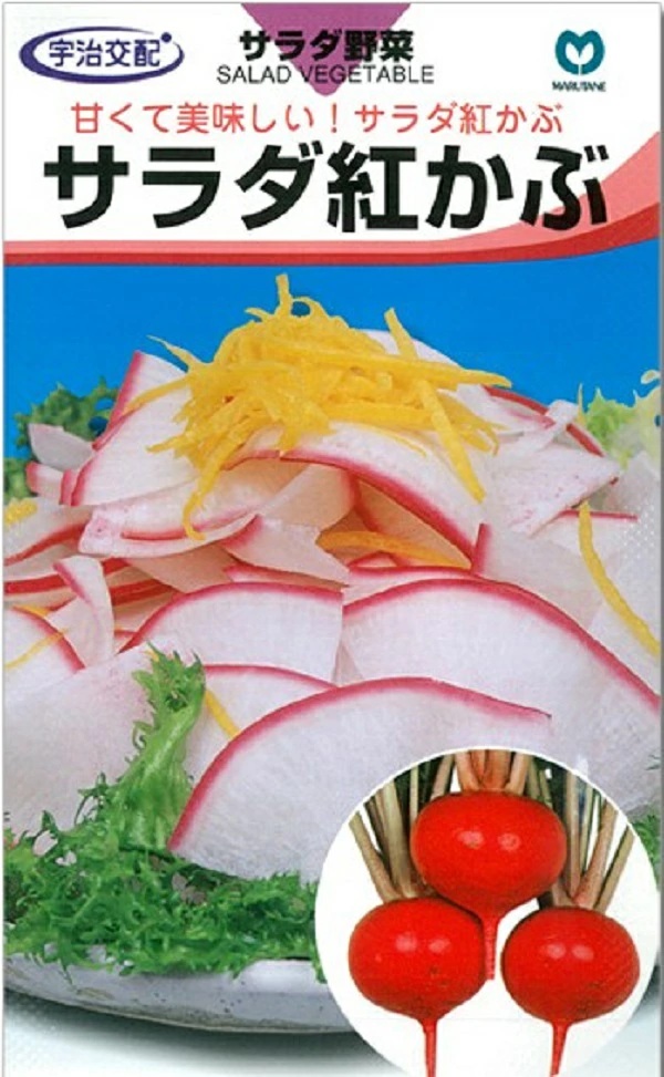 サラダ紅かぶ