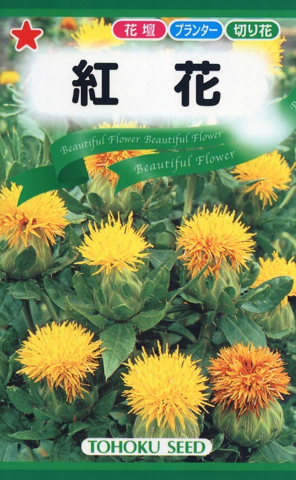 紅花