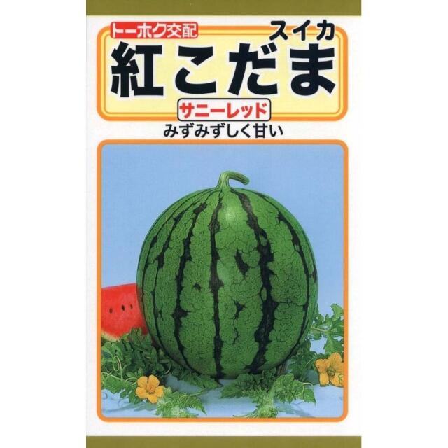 紅こだまサニーレッドトーホク