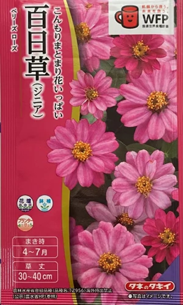 berryrose
