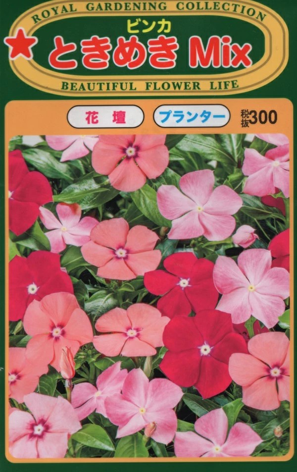 トーホクビンカミック