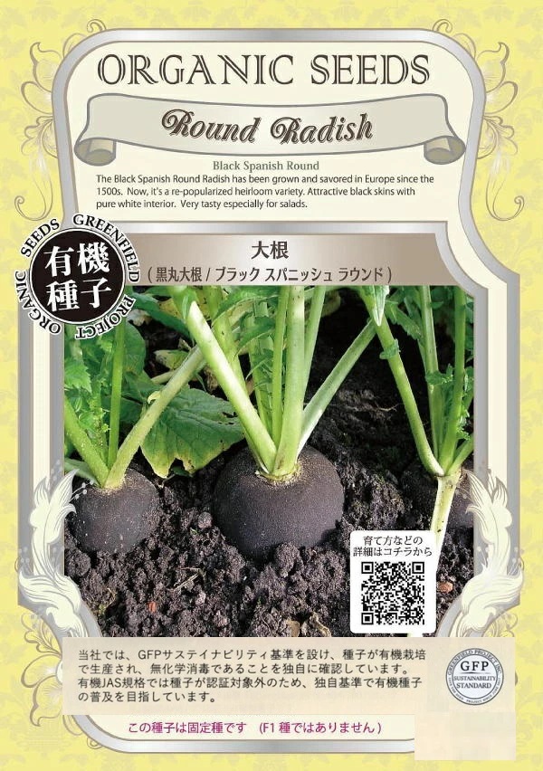 黒丸大根ブラックスパニッシュラウンド