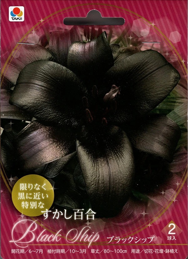 すかし百合ブラックシップ