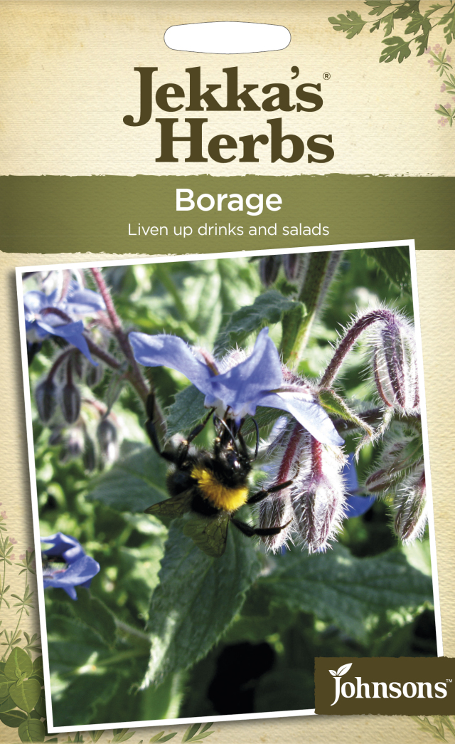 ｂorage