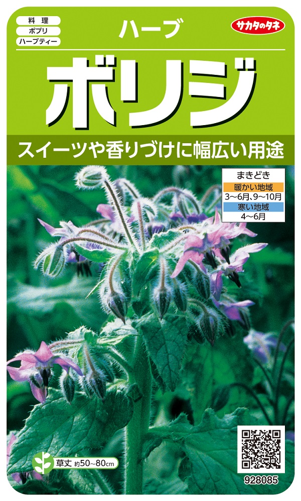 ボリジ