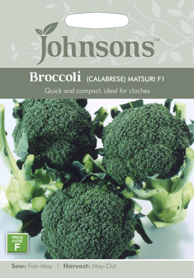Broccoli (CALABRESE) MATSURI F1 ブロッコリー（カラブレーゼ） マツリ・F1