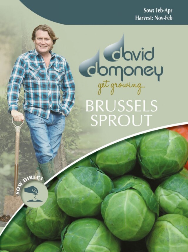BRUSSELS SPROUT Brest F1