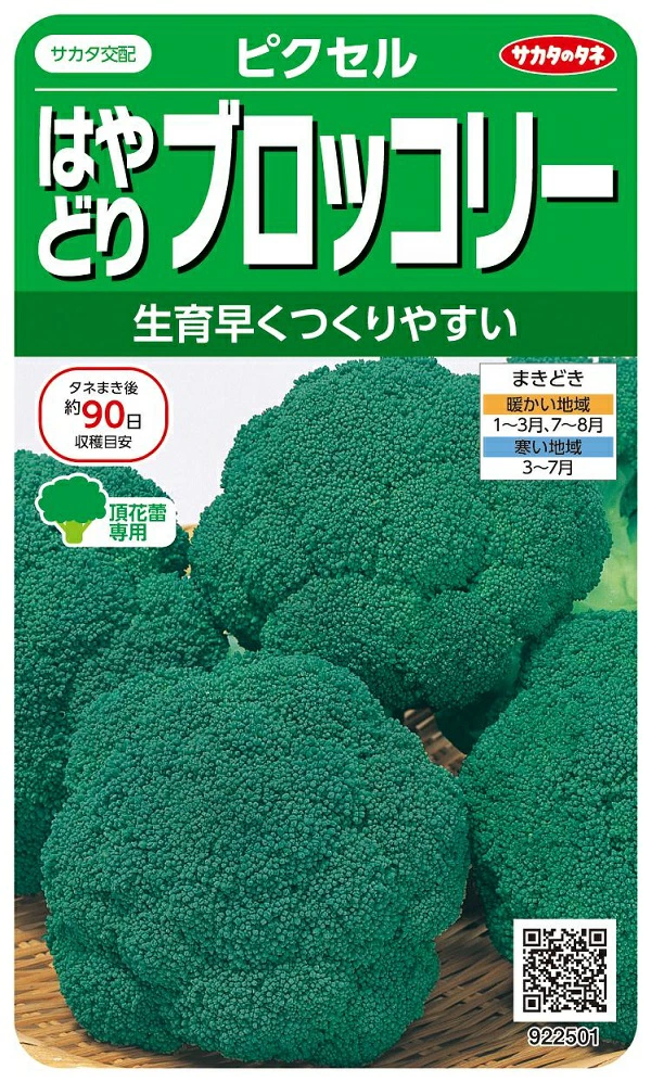 はやどりブロッコリー